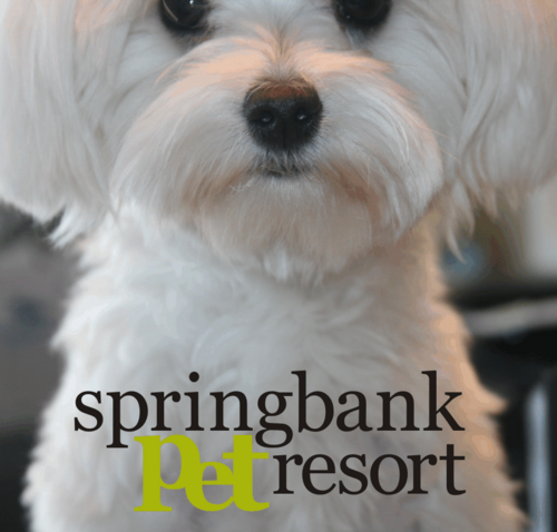 SpringbankPetResort