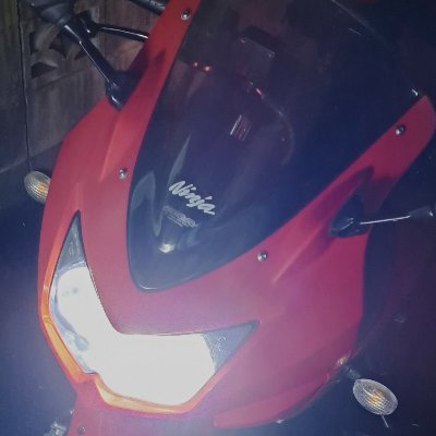 (みなづき・やもり)忍殺カラーの #ninja250 がお友達な、ド底辺自宅トレーニー。 まったりワッパ人生。夜勤なので明け方に力尽きます。
武道・格闘技、歴史やメタルが好きだけど、ぶっちゃけ浅学非才ゆえお手柔らかに。『花さそふ 嵐の庭の 雪ならで ふりゆくものは 我が身なりけり』（西園寺公経）