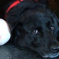 Lawrence T Doyle (@lawrencetdoyle) 's Twitter Profile Photo Lawrence T Doyle (@lawrencetdoyle) 's Twitter Profile Photo