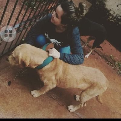samchaux's profile picture. 🐼❤
amante del verano 🏝🌞 
olimpista por siempre 🖤🤍