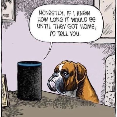 Bumpercar621301's profile picture. 