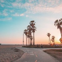 Piyush M (@piyushm85) 's Twitter Profile