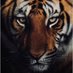 Tiger (@HongZha82264248) Twitter profile photo