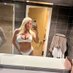 Sarah Alison (@alisonsarah44) Twitter profile photo Sarah Alison (@alisonsarah44) Twitter profile photo