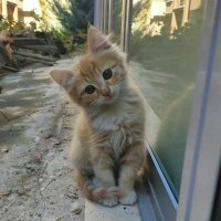 kevserr (@llkevser1) Twitter profile photo