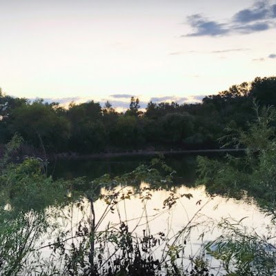L224293's profile picture. 