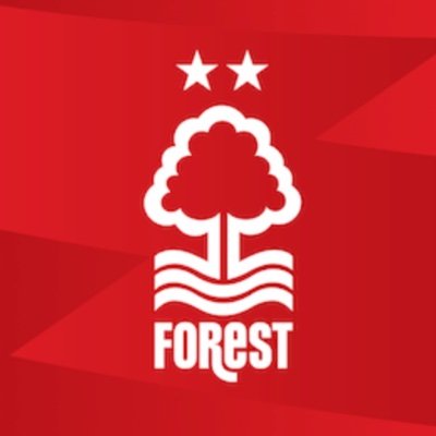 SJ031385's profile picture. #NFFC