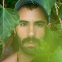 Lucia Honey (@harmseduction) 's Twitter Profile