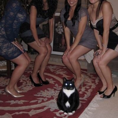 ellsramirez's profile picture. partyhatguy | UTK Mathematics | skinny (fiend) legend