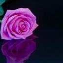 Kate Brogan - @brogan_kate - Twitter