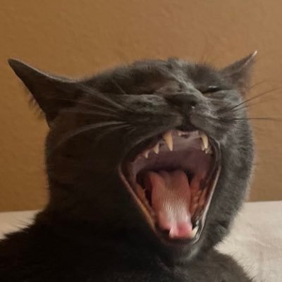 ksizzle_7's profile picture. 🤠