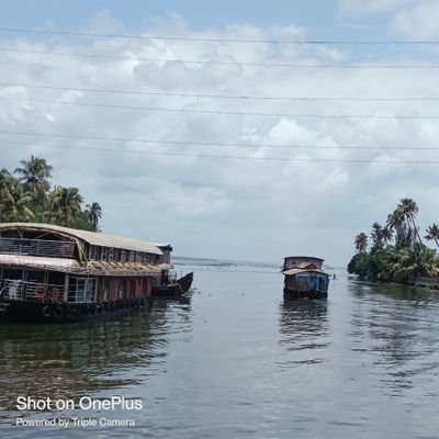 Indu_divya's profile picture. 