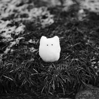 shironosumika_'s profile picture. 