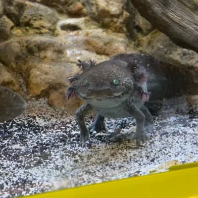 Milani_wu's profile picture. 