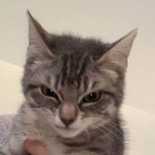 23 . bpdtism . i unno i post whatever .
proship + shedtwt dni i mean it
@teethprivv follow if you want to be friends