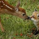 Connie Grayson - @GraysonConnie - Twitter