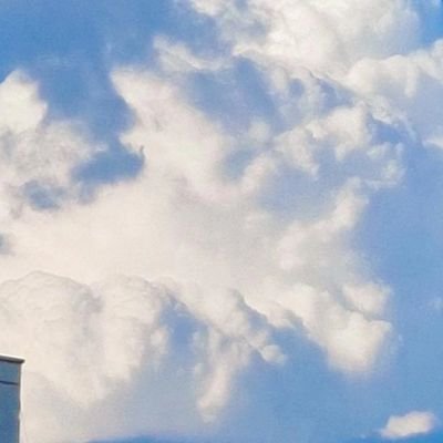 imono74413694's profile picture. 21+ old
구독계입이다..썰지말아줘요제발나운다
あなたの絵が見たくてフォローした韓国人です あなたの絵をずっと見たいですTT