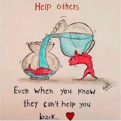 Sadala1187025's profile picture. You’re never too important to be nice to people