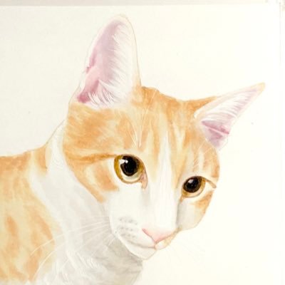 Cait*Sith(ケットシー)@猫のアクセサリー屋・猫の似顔絵作家さんのプロフィール画像