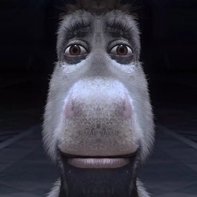 whotookmysunnyd's profile picture. LESBIAN • Professional Lurker • 24