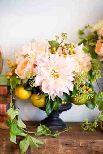 MissyPhoto's profile picture. Wedding Photography with bubbly spunk.