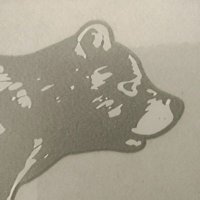 Jfeever (@jfeev7) 's Twitter Profile