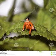 GuyTiny24329's profile picture. Howdy I’m just a wittle feller