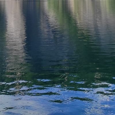 chaviere73's profile picture. notre société n'a plus aucune limite, alors pourquoi se priver de le dire ?