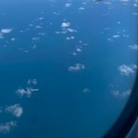 Lavinia (@geolawinia) 's Twitter Profile Photo