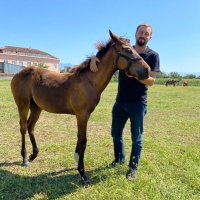 Samet (@samet_ylmz) Twitter profile photo