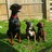 Wanderers Haven AS (@wanderershaven) 's Twitter Profile