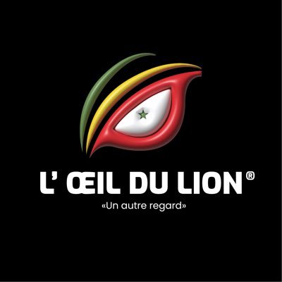 L’oeil du lion, un autre regard. 🦁🇸🇳 Création de contenu digital. Sport, culture, art. Sénégal 🇸🇳