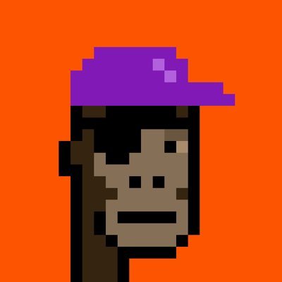 Recursive Punks Profile