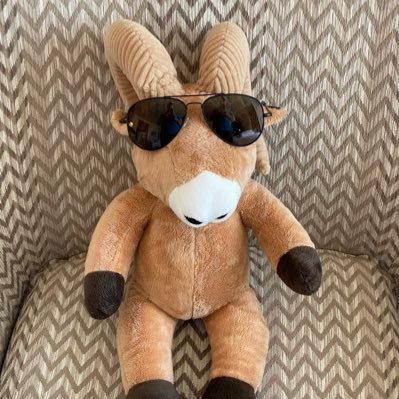 VLMGOAT's profile picture. It’s not about left or right, it is about right and wrong. Fighting for smaller, less intrusive government. #MAGA #MAHA #DOGE #2A #MolonLabe #IFBAP #TPUSA