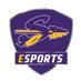 Sanger Esports (@sangeresports) Twitter profile photo Sanger Esports (@sangeresports) Twitter profile photo