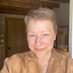 Dr Deborah Harkness (PhD, LHD) (@DebHarkness) Twitter profile photo