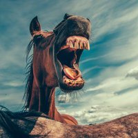 Ben mwas (@benrioki) 's Twitter Profile