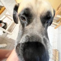 s0Va (@ml_s0va) 's Twitter Profile