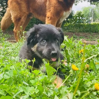 MangyOld85461's profile picture. “Keep the faith thru the darkness and chaos of this world.” Former taxi driver/private investigator. Guitar owner.  Everyone is entitled to my opinion.