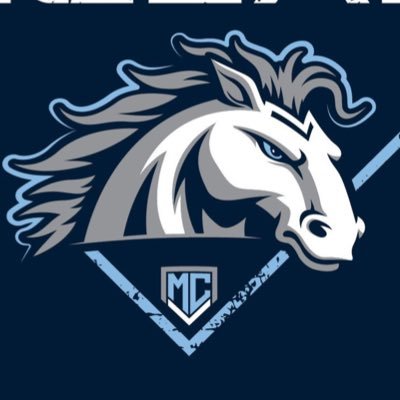Motor City Vengeance 17u Profile