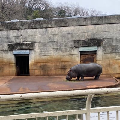 tm0112050's profile picture. 気づいたらえろ垢になりつつ(T . T)  基本的にゲームや応募垢です。よろしくです