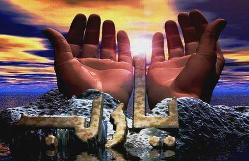 Raghd_A_A's profile picture. ما أضيق العيش لولا فسحة الأمل