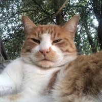 Bruce Bruce (@ferg90011bruce) 's Twitter Profile