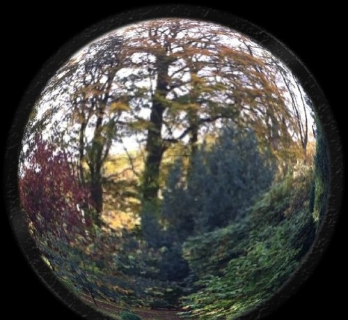 Victoriarahn's profile picture. 