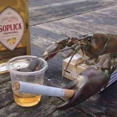 Semlan_7's profile picture. if you see this, i quit (mostly from posting for now), and if i ever come back itll be a new account