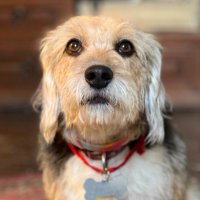 gi (@gis999) 's Twitter Profile Photo