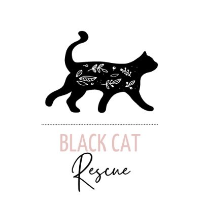 Black Cat Rescue is a newer FIP support group.
We offer support, knowledge, advice & of course treatment!