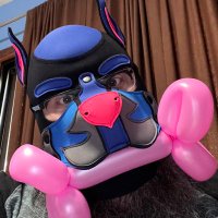 🎈Pup_Buster 🎈 (@balloonbear77) 's Twitter Profile