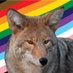 Edina Coyote 🇺🇦 (@edinacoyote) Twitter profile photo Edina Coyote 🇺🇦 (@edinacoyote) Twitter profile photo