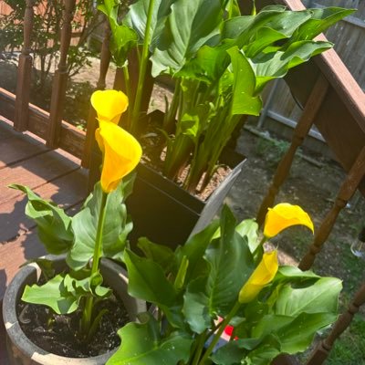 CatalinaRe23338's profile picture. 